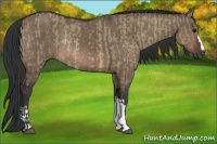 Horse Color:Brown Dun Rabicano  and Brown Dun Rabicano 