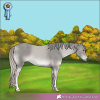 Horse Color:Chestnut Chinchilla 