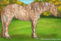 Horse Color:Cremello Splash Brindle
