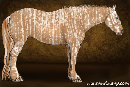 Horse Color: Cremello Splash  Brindle