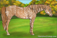 Horse Color:Cremello Splash  Brindle