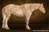 Horse Color:Cremello Splash Brindle