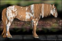 Horse Color:Cremello Splash  Brindle