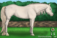 Horse Color:Perlino Sabino 