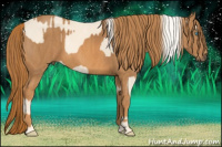 Horse Color:Cremello Splash Brindle