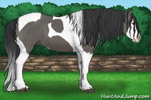 Horse Color: Grullo Splash Tobiano 