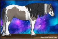 Horse Color:Grullo Splash Tobiano 