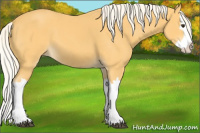 Horse Color:Palomino Splash 