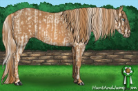 Horse Color:Cremello Splash  Brindle