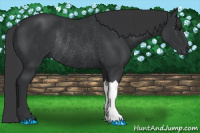 Horse Color:Brown Rabicano 