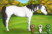 Horse Color:White Spotted Bay Dun Rabicano 