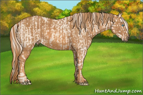 Horse Color: Cremello Splash  Brindle