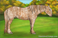 Horse Color:Cremello Splash Brindle