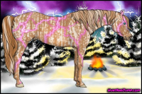 Horse Color:Cremello Splash Brindle