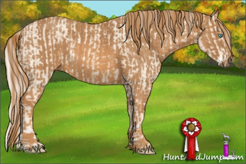 Horse Color: Cremello Splash  Brindle