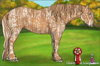 Horse Color:Cremello Splash  Brindle