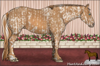 Horse Color:Cremello Splash Brindle