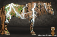 Horse Color:ERROR: UNKNOWN ANOMALY Brindle