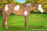 Horse Color:Cremello Splash Brindle