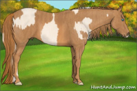 Horse Color:Cremello Splash Brindle