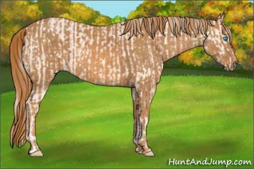 Horse Color: Cremello Splash  Brindle