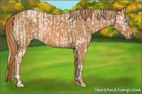 Horse Color:Cremello Splash Brindle