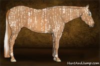 Horse Color:Cremello Splash Brindle