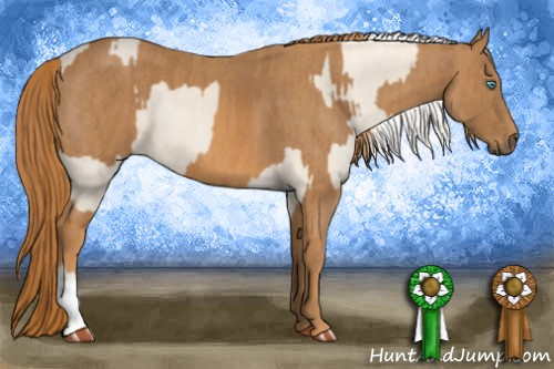 Horse Color: Cremello Splash  Brindle