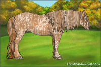 Horse Color:Cremello Splash Brindle