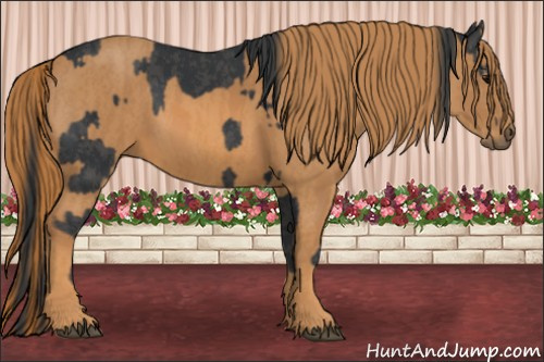 Horse Color: Black  Brindle