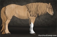 Horse Color:Chestnut  Brindle