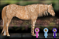 Horse Color:Cremello Splash  Brindle