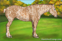 Horse Color:Cremello Splash  Brindle