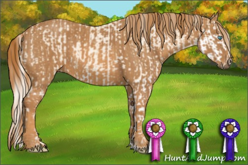 Horse Color: Cremello Splash  Brindle