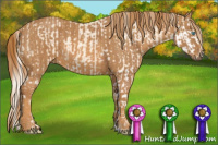 Horse Color:Cremello Splash  Brindle
