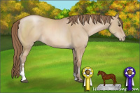 Horse Color:Unknown 