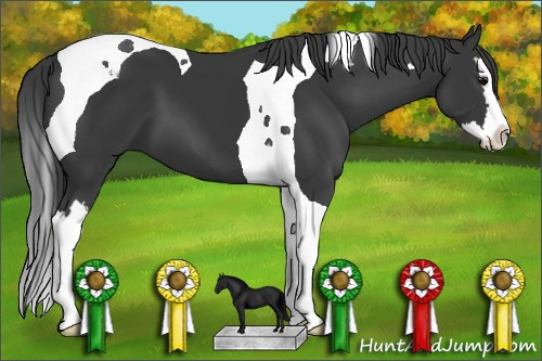Horse Color: Unknown 