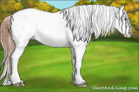 Horse Color:Amber Champagne Near Fewspot 