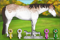 Horse Color:Unknown 