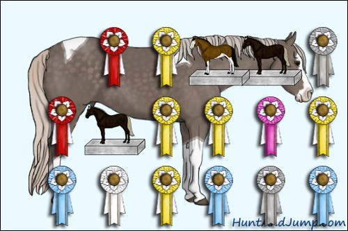 Horse Color: Silver Black Sabino Splash Tobiano 
