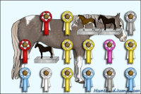 Horse Color:Silver Black Sabino Splash Tobiano