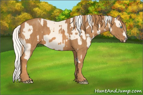 Horse Color: Cremello Splash  Brindle