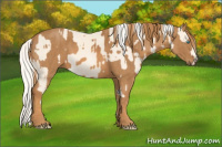 Horse Color:Cremello Splash Brindle