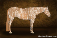 Horse Color:Cremello Splash Brindle