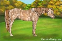 Horse Color:Cremello Splash Brindle