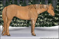 Horse Color:Chocolate Palomino Sabino  Brindle