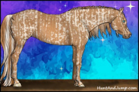 Horse Color:Cremello Splash Brindle