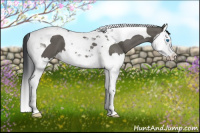 Horse Color:Grullo Splash Tobiano