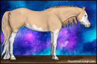 Horse Color:Gold Champagne Splash 