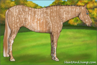 Horse Color:Palomino Pearl Splash Brindle
